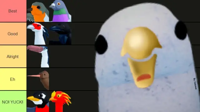 Feather Family Discord Server: Official Status and Community Hubs